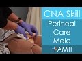 CNA Skill: Perineal Care Male With Changing A Soiled Brief