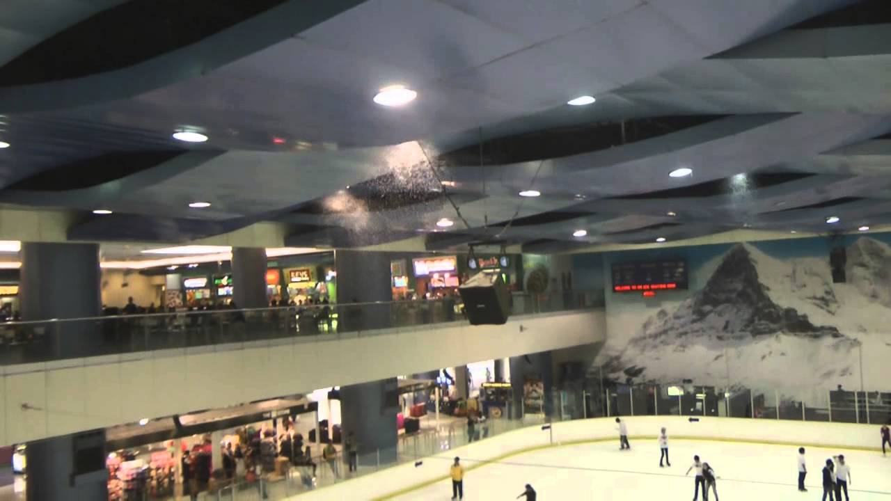 Mall Of Asia Ice Skating - The Accounting Cover Letter