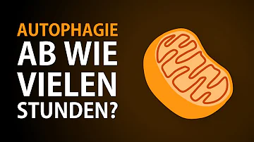 Wie viele Stunden Fasten ist gesund?