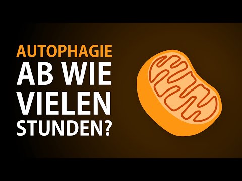 Video: Wo findet Autophagie statt?