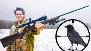 Small Game Hunting with 17HMR! (Scope Cam)