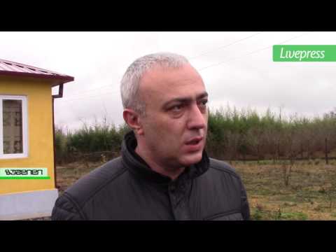 გამგეობამ ბენეფიციარებს საცხოვრებელი ფართი გადასცა