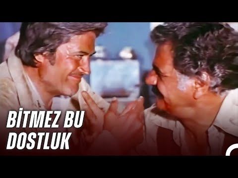 Sen Benim Can Yoldaşımsın | Kader Arkadaşı