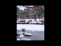 小柳ルミ子    雪あかりの町