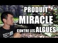 Aquascaping  le produit miracle contre les algues