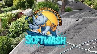 Softwash Cleaning Roofs and Siding in Vancouver WA screenshot 5