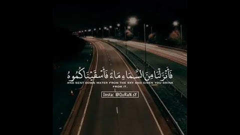 قرآن كريم بصوت هزاع البلوشي 🌹 ارح سمعك / حالات واتس اب اسلامية / مقاطع قصيرة انستغرام