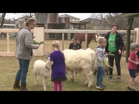 San Antonio Preschool Brings Learning Outside With Garden And Farm Animals On Campus