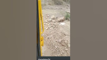 #ajax #whatsapp #status