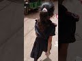 স্কুলে যাওয়ার সময়