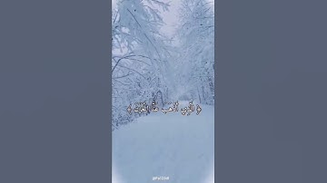 #fa123dl #استغفر الله العظيم واتوب اليه #صلواعلى النبي #سورة فاطر #شيخ ماهر المعيقلي