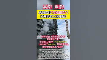 Desulfurization and denitrification technology#denox #factory #Manufacturer #scr #destructor