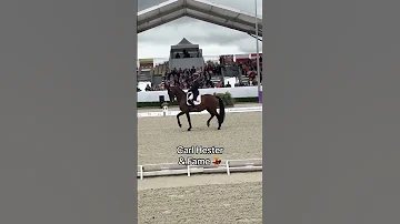 A Beat Made For Dressage Tests 