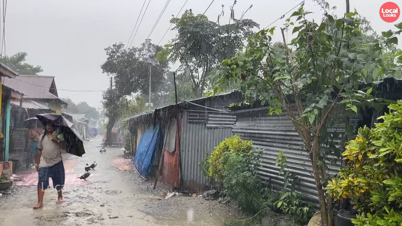 Farmers, Cattle and People in Heavy Rain-Walking through Villages in Rain