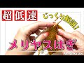 超低速!メリヤスはぎをじっくり解説