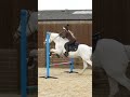 Pony gymnastics 🤸‍♂️