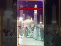 Madina Live | Best Trending Viral Shorts Video Naat | #naat #madina #ilovemuhammad
