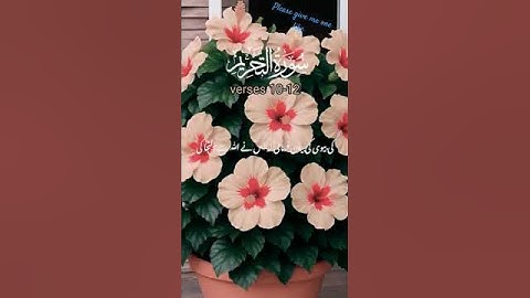 سورة التحريم ليلة رمضانية عراقية فاقت الوصف للشيخ ياسر الدوسري رمضان 1443هـياسر الدوسري سورة التحريم