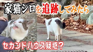 【家猫シロの秘密】追跡の果てに見たものはまさかのセカンドハウス【オリジナル曲】