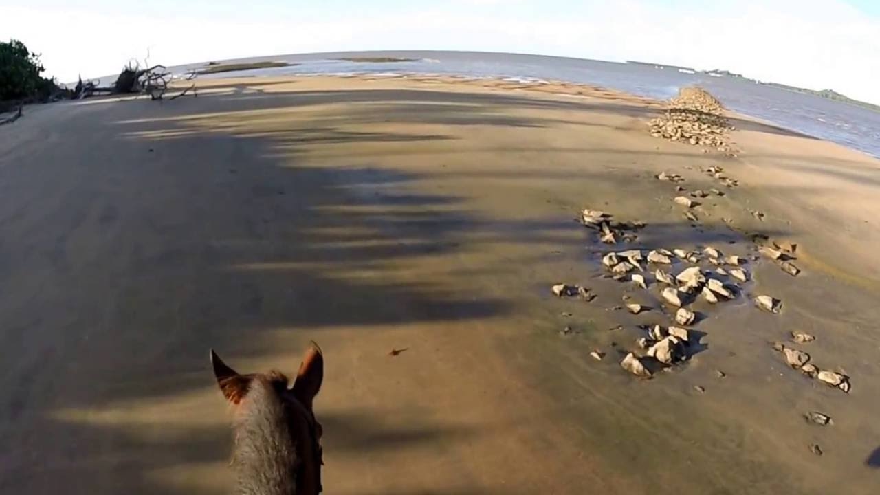 randonnee cheval guyane