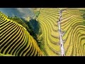 CHINA'S UNBELIEVABLE RICE TERRACES TURNED INTO STUNNING TOURIST ATTRACTIONS