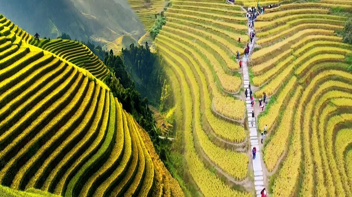 CHINA'S UNBELIEVABLE RICE TERRACES TURNED INTO STUNNING TOURIST ATTRACTIONS - DayDayNews