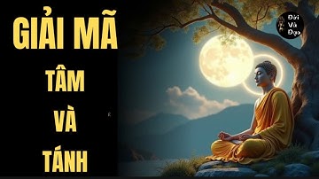 Tâm Là Gì ? Tánh Là Gì ? Hiểu Đúng Để Đạt Được Giác Ngộ / Đời Và Đạo