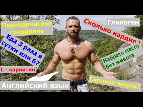 Ответы№2: Еда 3 раза или 6, периодическое голодание, английский язык,сколько кардио...