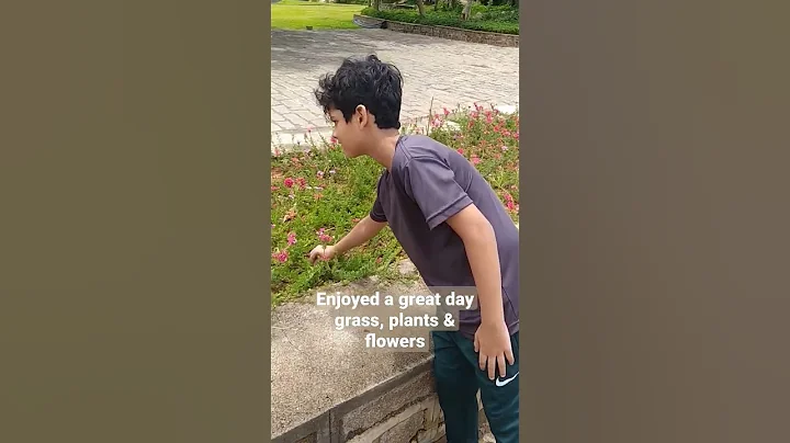Enjoyed a great day in grass, plan... #creativity #entertainment #fun #happiness #greenery #flowers - DayDayNews