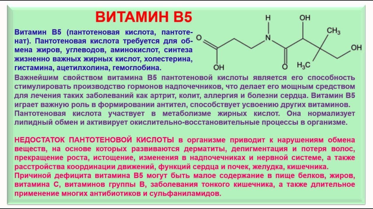 Витамин б показания к применению. Пантотеновая кислота витамин. Витамин b5 пантотеновая кислота. Витамин в5 пантотеновая кислота в ампулах. Витамин б5 в таблетках.