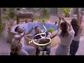 علي السلق مرة من العمر Ali alsilik mra mn al3omr official music video 4k