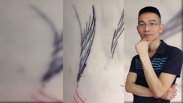 S - curved Tail ( David Nguyen, iBrows Academy )