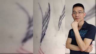 S - curved Tail ( David Nguyen, iBrows Academy )