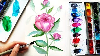 watercolor easy flowers painting paint peonies tutorial peony beginners tutorials paintings