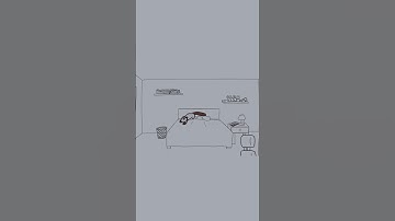 a day in the life of a cat (3am)