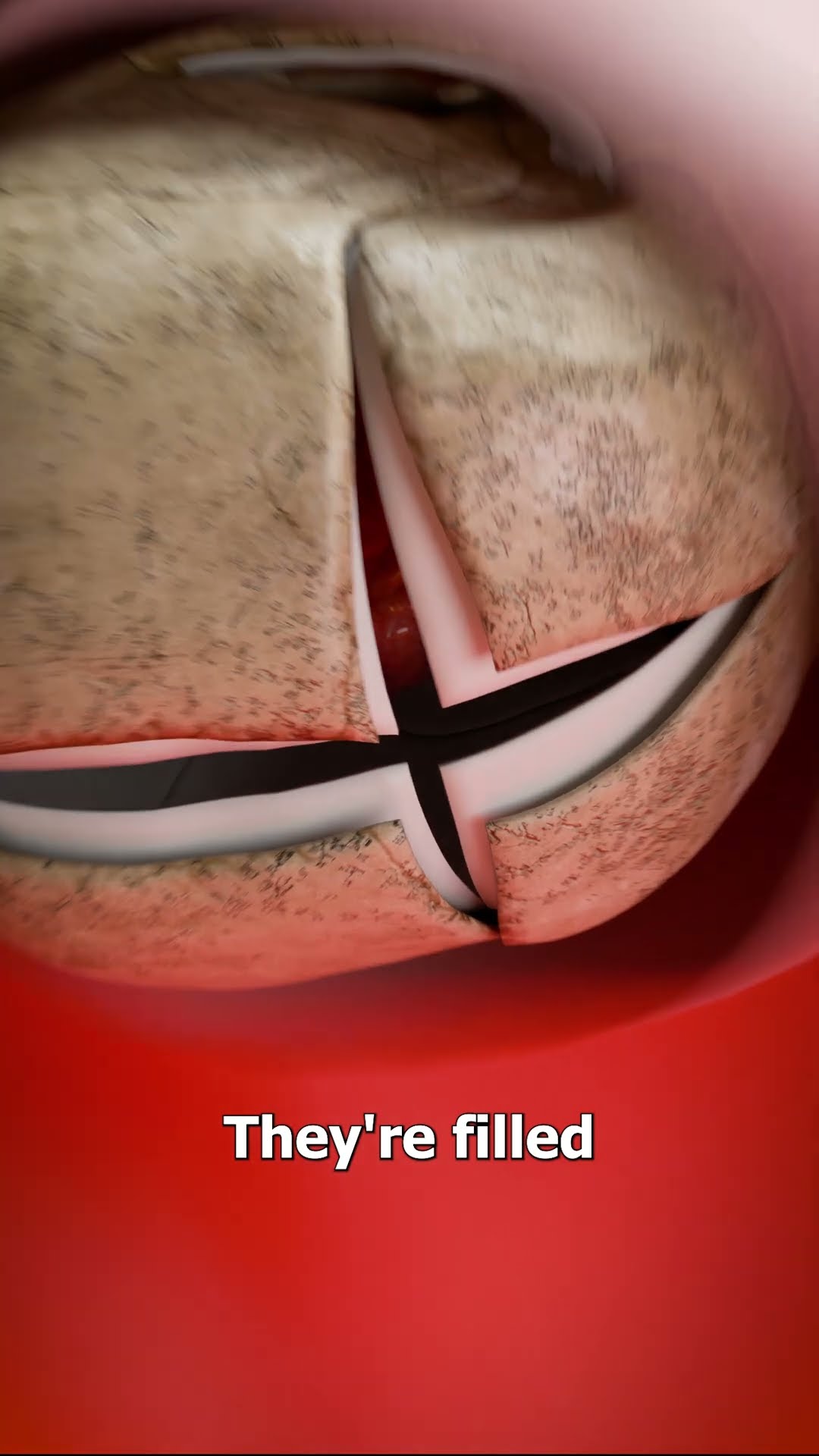 Why Does The Skull Have Cracks? ?