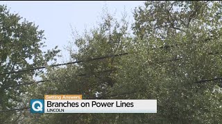 Branches on Power Lines