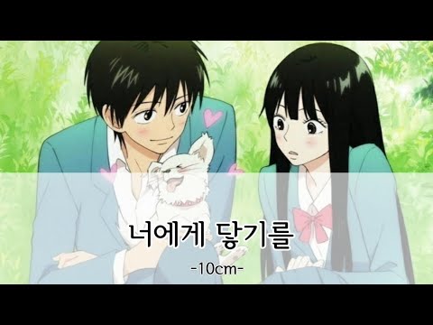 【10cm/かなるび/日本語訳】너에게 닿기를(君に届くように) 君に届け