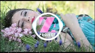 DJ REMIX GADIS DAN BUNGA | DISCO VIRAL TIKTOK 2022