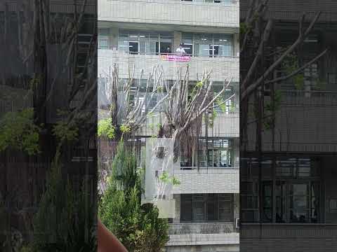 太頂了吧 台大電機