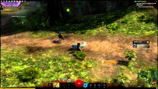 Guild Wars 2 BWE 3 Asura Ranger Tutorial + Gameplay Better Quality