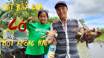 Đặt lộp cua biển trong vuông tôm cà mau