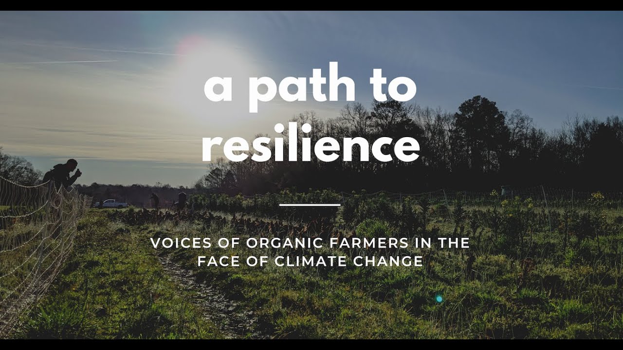 Organic Farmers in the Face of Climate Change - YouTube