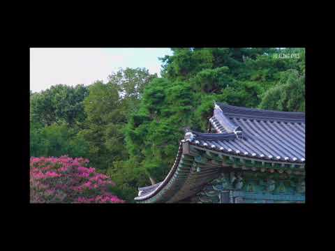 [매직박 도네용] 마음이 편안해지는 목탁 소리