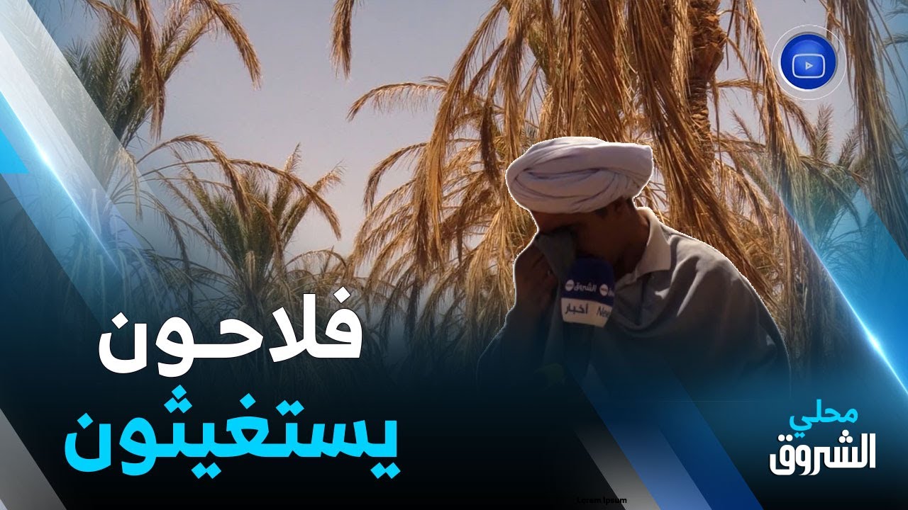 #أولاد_جلال: هلاك واحات النخيل بسبب الجفاف وفلاحو 