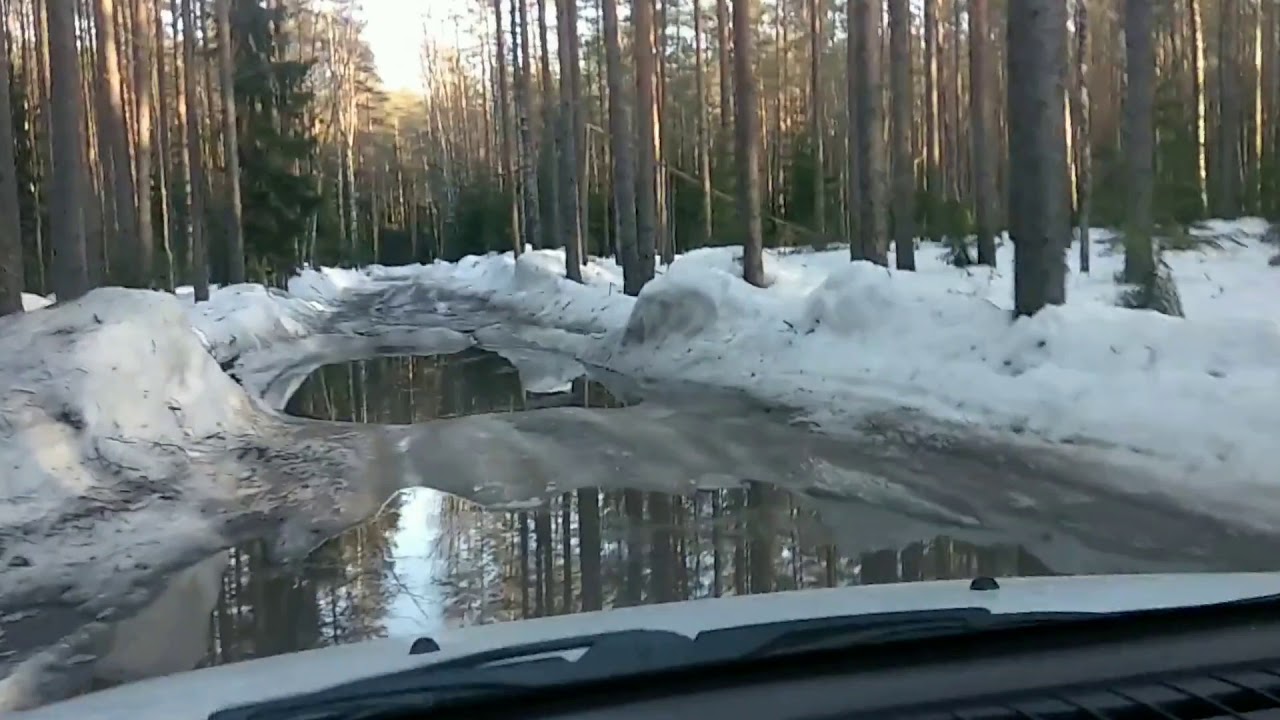 Заводская резина веста