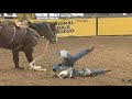 Billy etbauer vs cool alley  04 nfr rd 10 93 pts