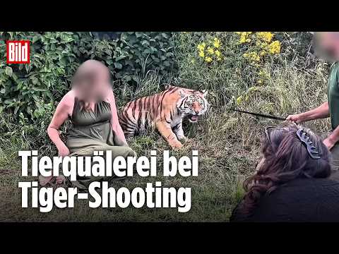 STRAFANZEIGE: Stephan Pütz deckt Tierquälerei bei Wildtier-Shooting auf!