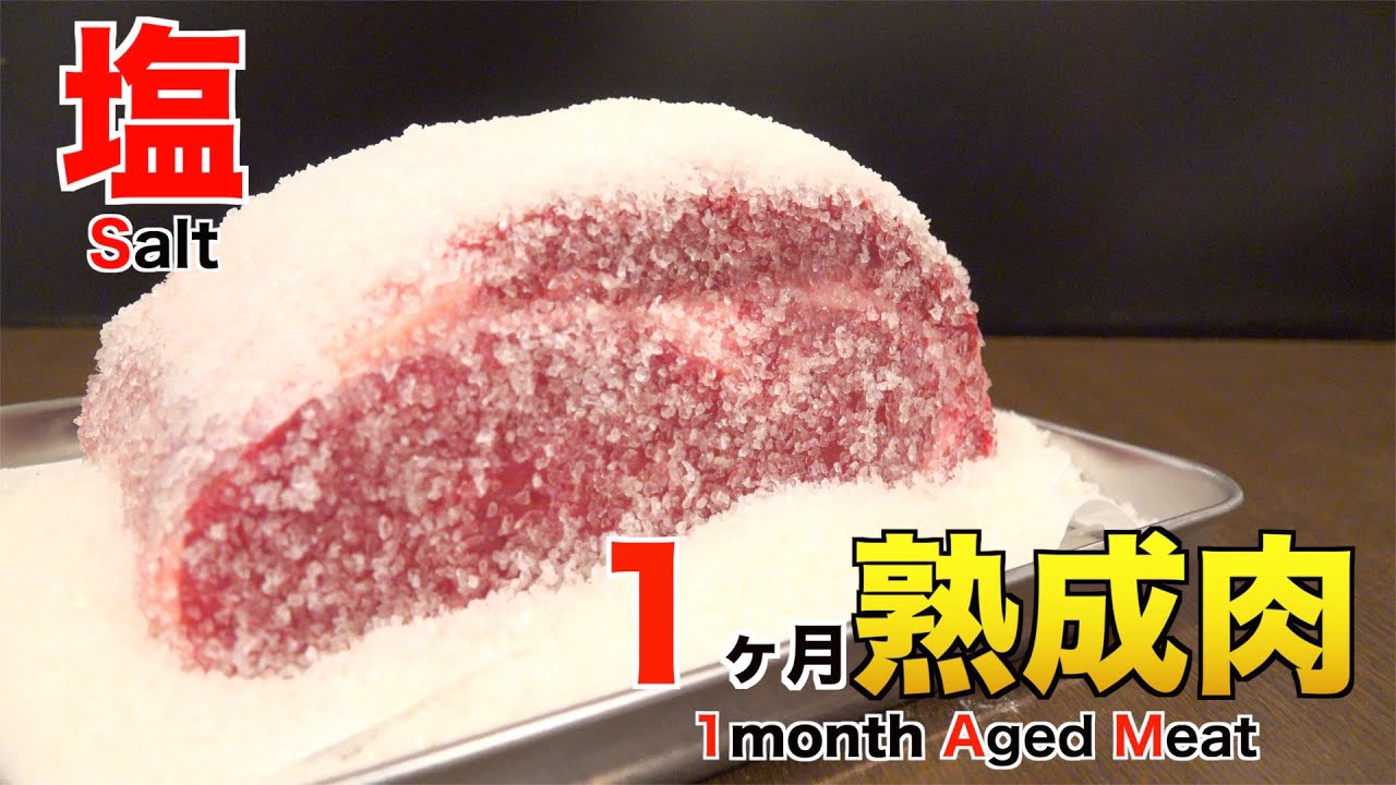 塩で1ヶ月熟成肉作ってみた Insane Salt Dry Age Experiment!!