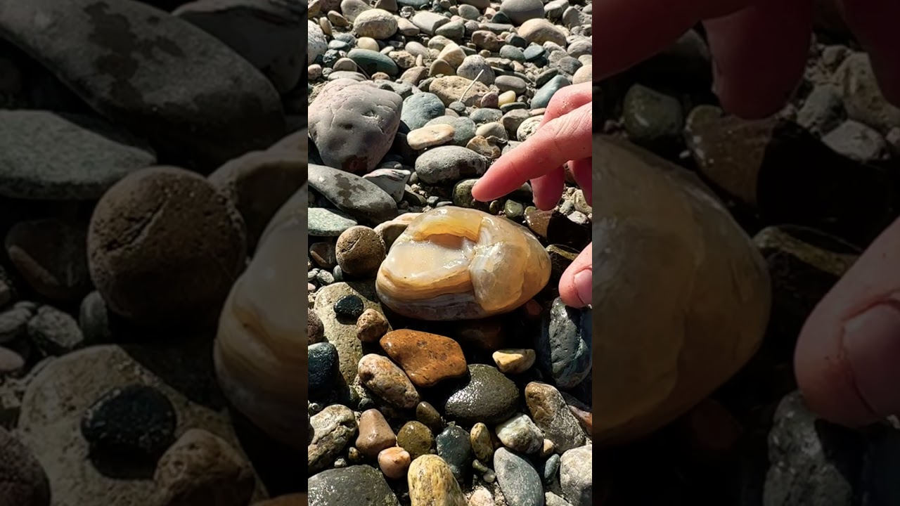 Montana agate hunting. 